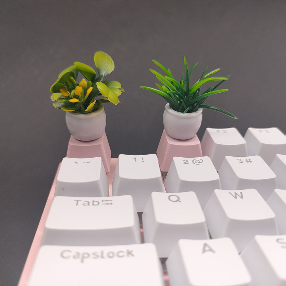 Capuchons de touches de clavie - Gaming Accessories Kawaii avis et prix