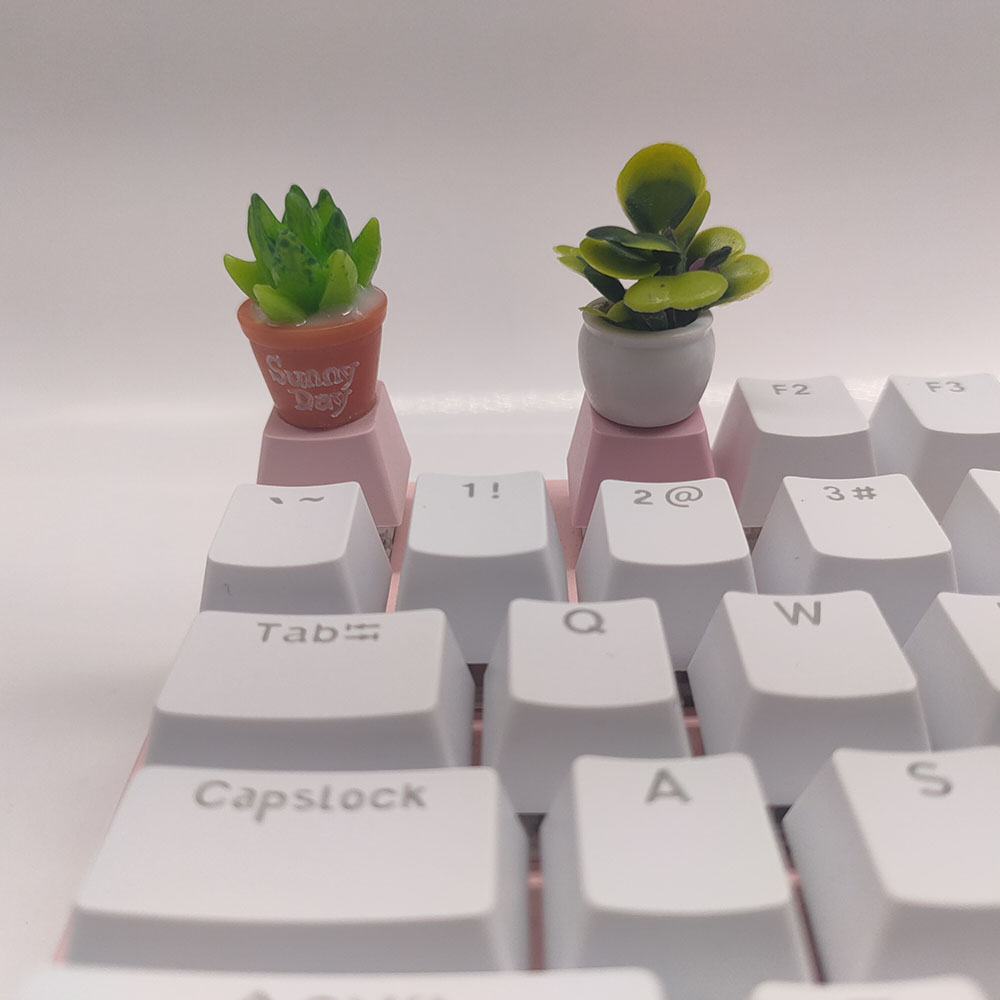Capuchons de touches de clavie - Gaming Accessories Kawaii avis et prix